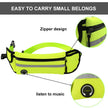 Pet Waist Bag