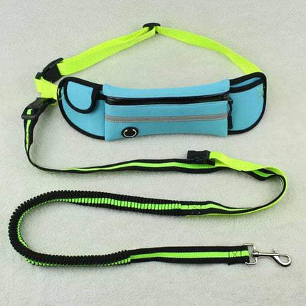 Pet Waist Bag