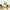 Food Processor Vegetable
