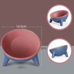 Cat Dog Bowl