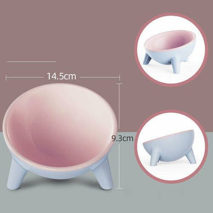 Cat Dog Bowl