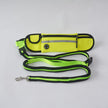 Pet Waist Bag