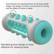 Pet Dog Bone Shape Molar Teeth Cleaner Brushing Stick Interactive Chew
