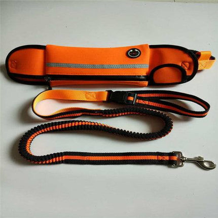 Pet Waist Bag