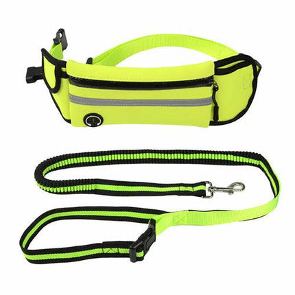 Pet Waist Bag