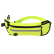Pet Waist Bag