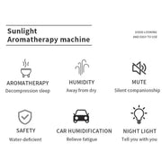 Natural Oil Car Air Diffuser