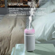 Natural Oil Car Air Diffuser