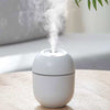 AromaMist 220ML Ultrasonic essential oil diffuser releasing mist on wooden table in minimalist room