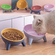 Cat dog bowl with stand in multiple colors with tilted design and large capacity for pet feeding