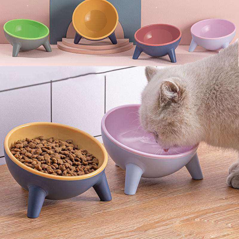 Cat dog bowl with stand in multiple colors with tilted design and large capacity for pet feeding