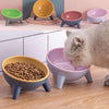 Cat dog bowl with stand in multiple colors with tilted design and large capacity for pet feeding