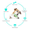 Pet Dog Bone Shape