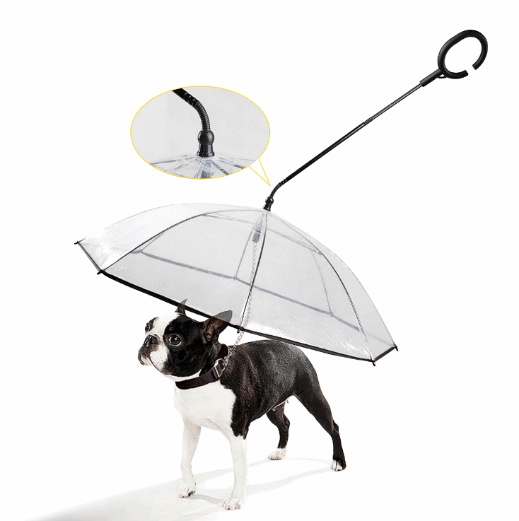 Adjustable transparent pet umbrella with ergonomic C-shaped handle protecting dog from rain