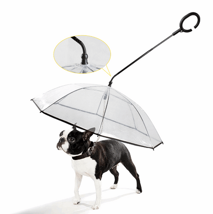 Adjustable transparent pet umbrella with ergonomic C-shaped handle protecting dog from rain