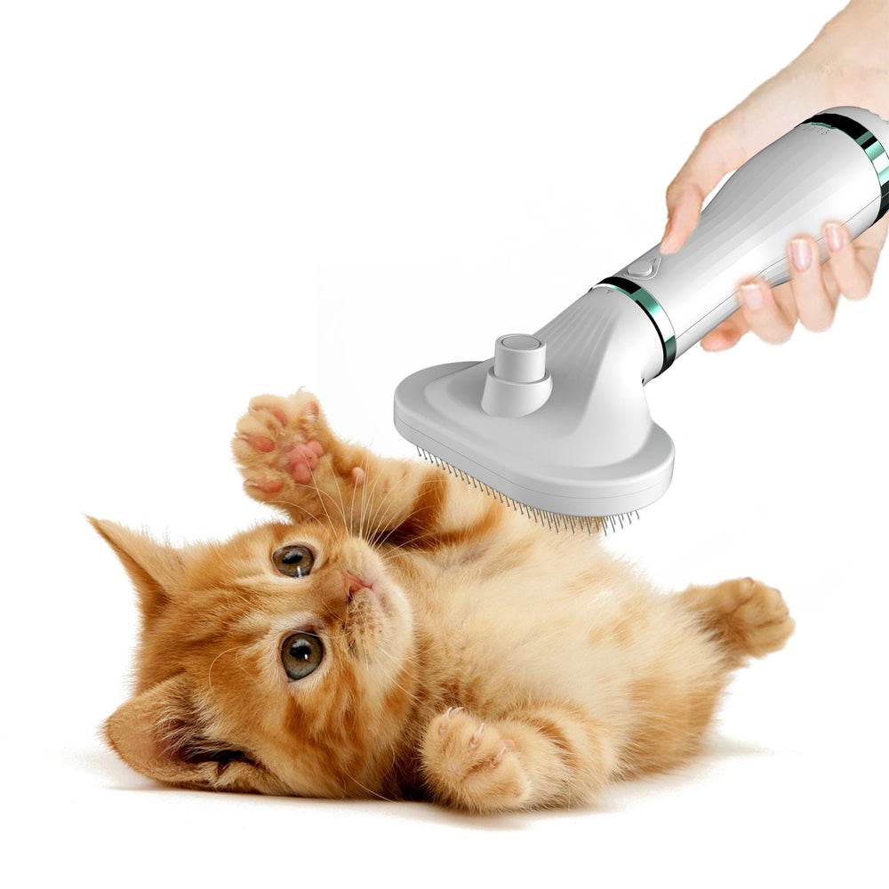 Pet comb hair dryer being used to groom an orange kitten lying on its back